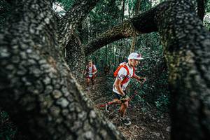 BIB: 
                            <button type="button" onclick="openModal(25392006)" class="btn btn-primary btn-sm float-right btn-popup" data-toggle="modal" data-target=".modal-high-quality">
                        <i class="fas fa-shopping-cart"></i> Add to Cart
                    </button>
                                            <button type="button" onclick="isThisMe(25392006, true)" class="btn btn-success btn-sm float-right btn-popup btn-isme hidden" data-toggle="tooltip" data-placement="bottom" title="นี่คือรูปของคุณใช่ไหม คลิกที่นี่เพื่อเอาเข้าอัลบั้ม">
                        <i class="fas fa-plus"></i> Add to album
                    </button>
                    <button type="button" onclick="isThisMe(25392006, false)" class="btn btn-warning btn-sm float-right btn-popup btn-isnotme hidden">
                        <i class="fas fa-ban"></i> Remove from album
                    </button>